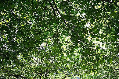 《异形：黑暗后裔》预购开启 Steam国区169元