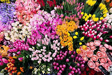 VR卡牌对战游戏《千山弈途》steam页面 发售日期待定